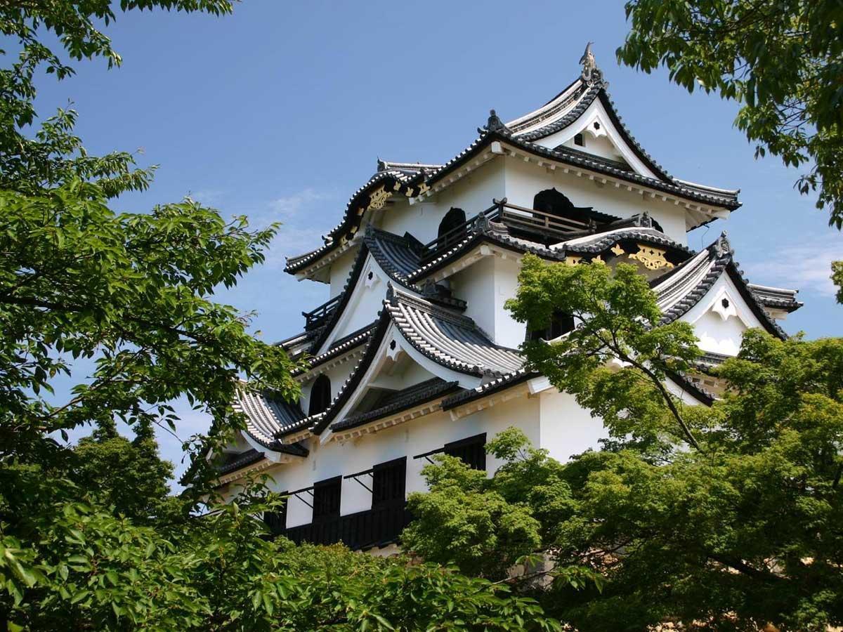 Business Hotel Serikawa Hikone Exterior photo